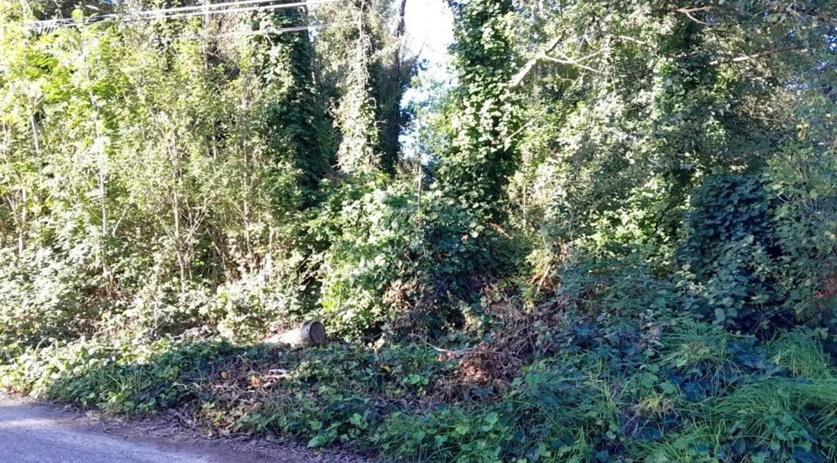 VENTA DE LOTE EN EL TEJADO foto 3