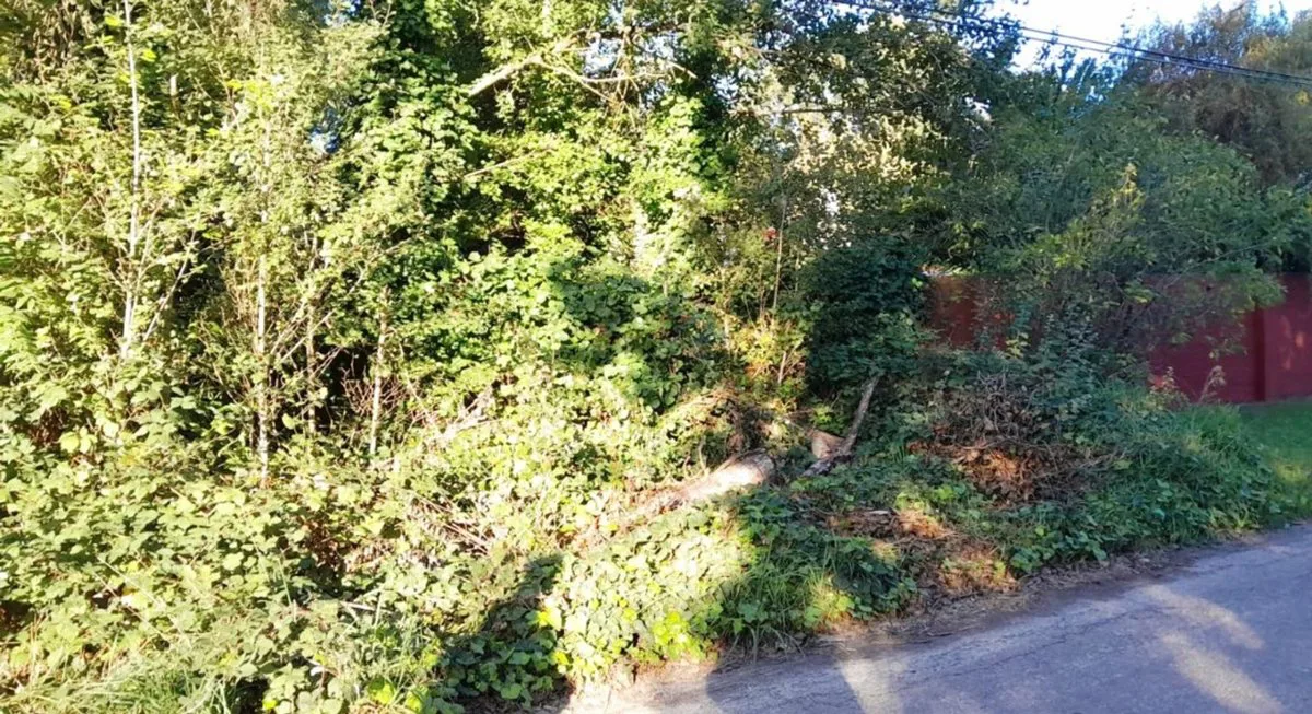 VENTA DE LOTE EN EL TEJADO foto 5
