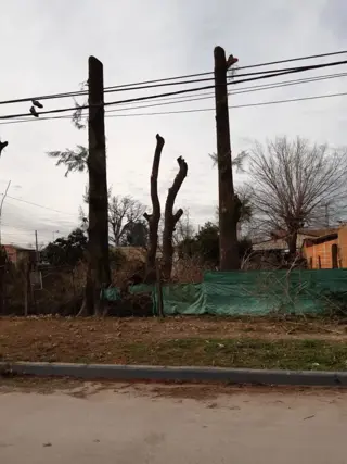 3 lotes sobre asfalto foto 2