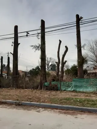 3 lotes sobre asfalto foto 4