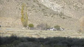 Campo en venta en Pichileufu foto 3