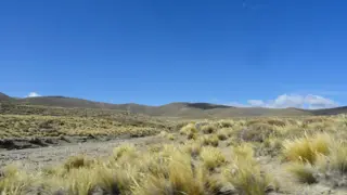 Campo en venta en Pichileufu foto 4