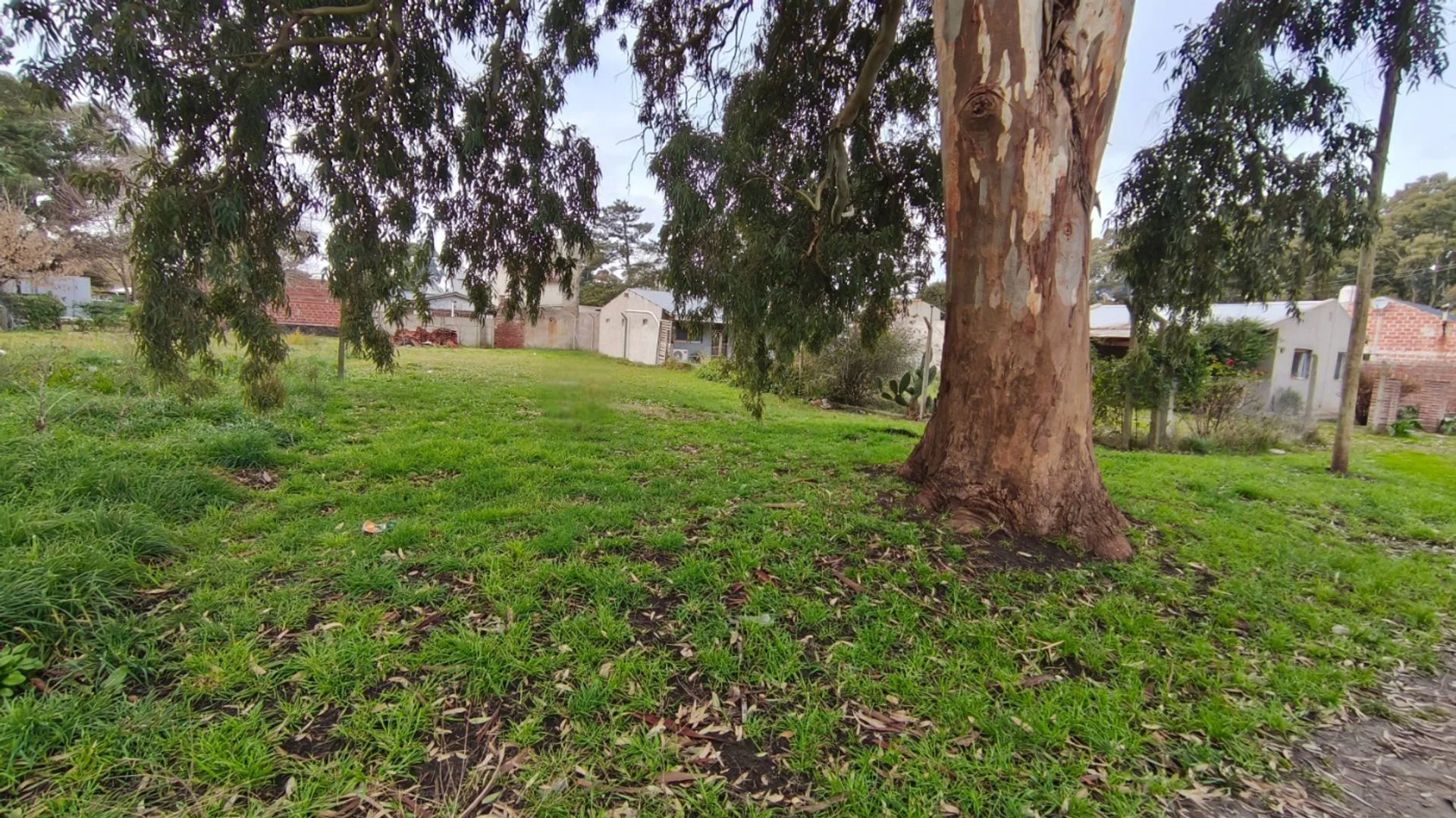 VENTA Lote 420 m² a 5 cuadras del mar, F. CAMET foto 5