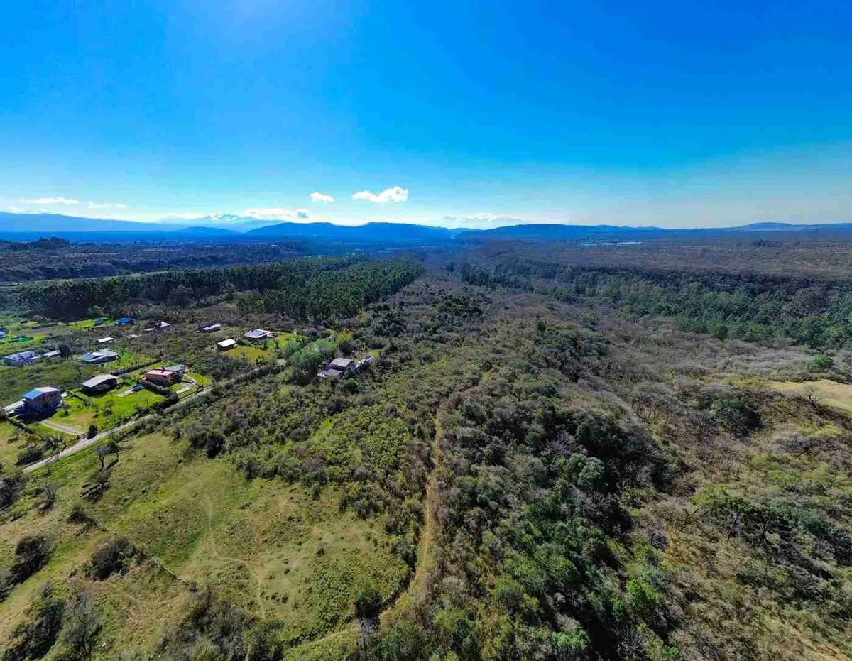 VENTA TERRENO LOS PAÑOS 1197,03M2 foto 2