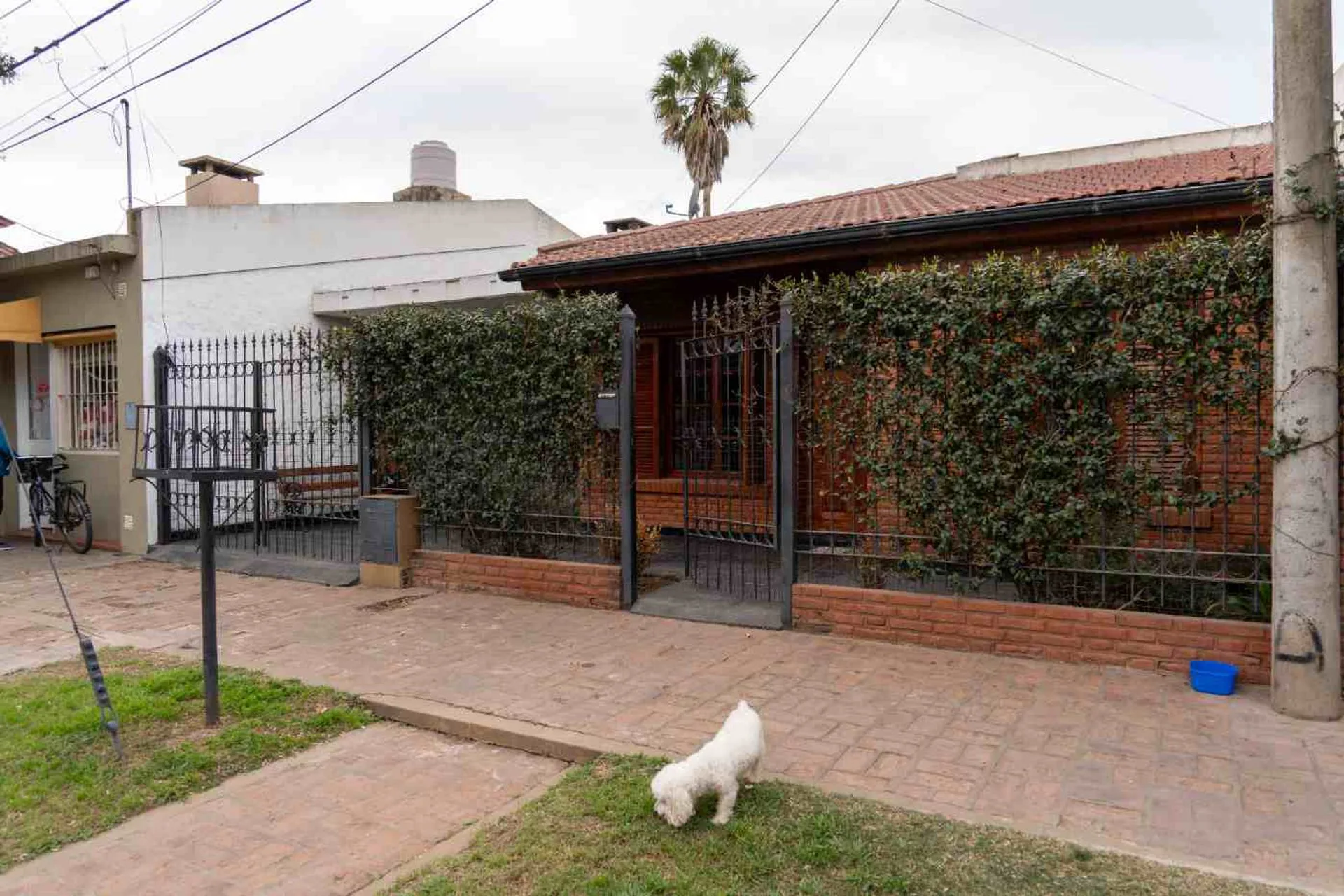 CASA TIPO CHALET DE TRES DORMITORIOS Y PILETA foto 3