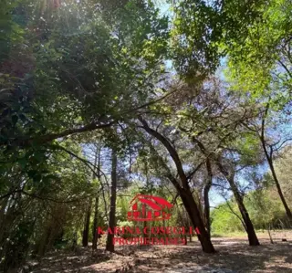 Excelente Terreno a la venta en Tortuguitas foto 2