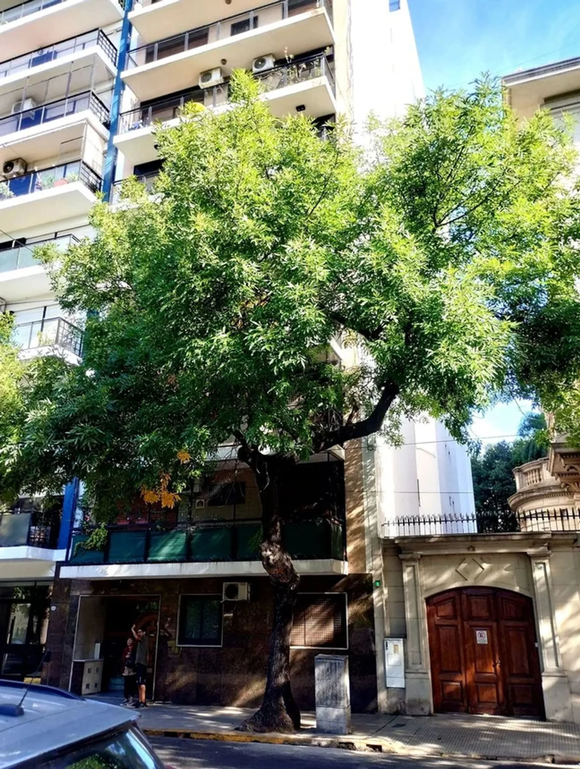 VENTA 4 AMB EDIFICIO FRENTE A PARQUE RIVADAVIA!!! foto 2