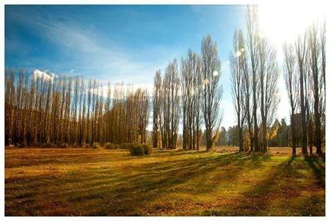 Club de campo Dos Valles foto 4