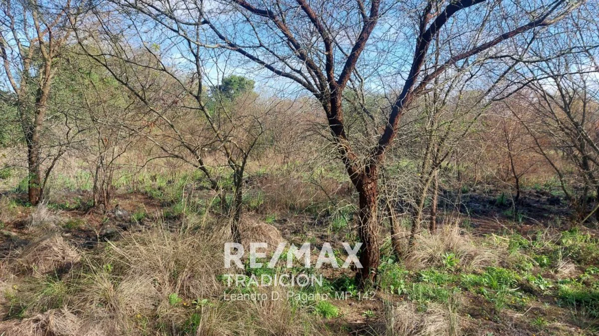 VENTA  DE TERRENO PUERTO TIROL CHACO foto 4