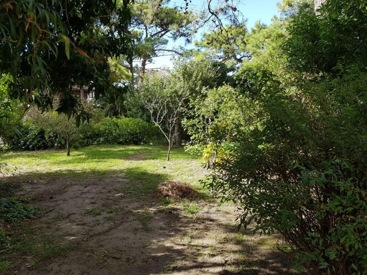 VENTA CASA EN GRAN LOTE COMERCIAL VILLA GESELL foto 4