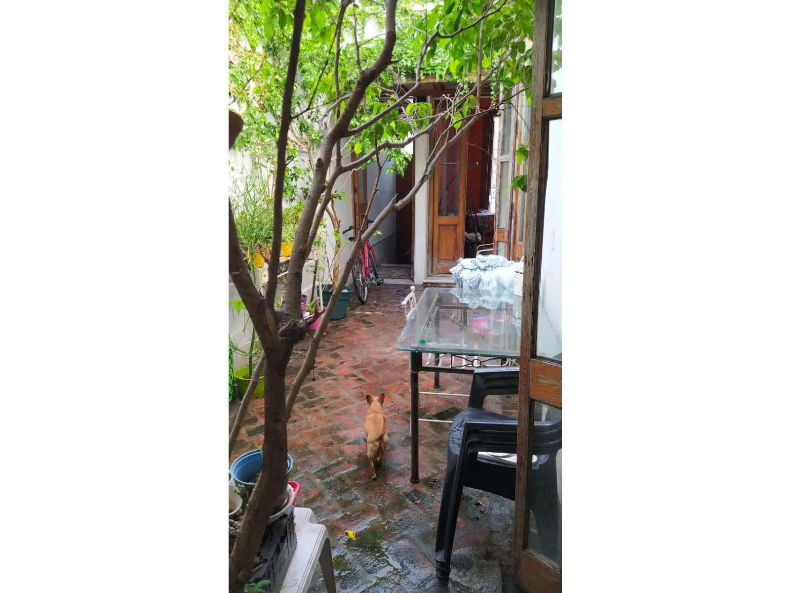 ¡VENTA! CASA DE 5 AMBIENTES EN SAN CRISTOBAL (LRA) foto 4