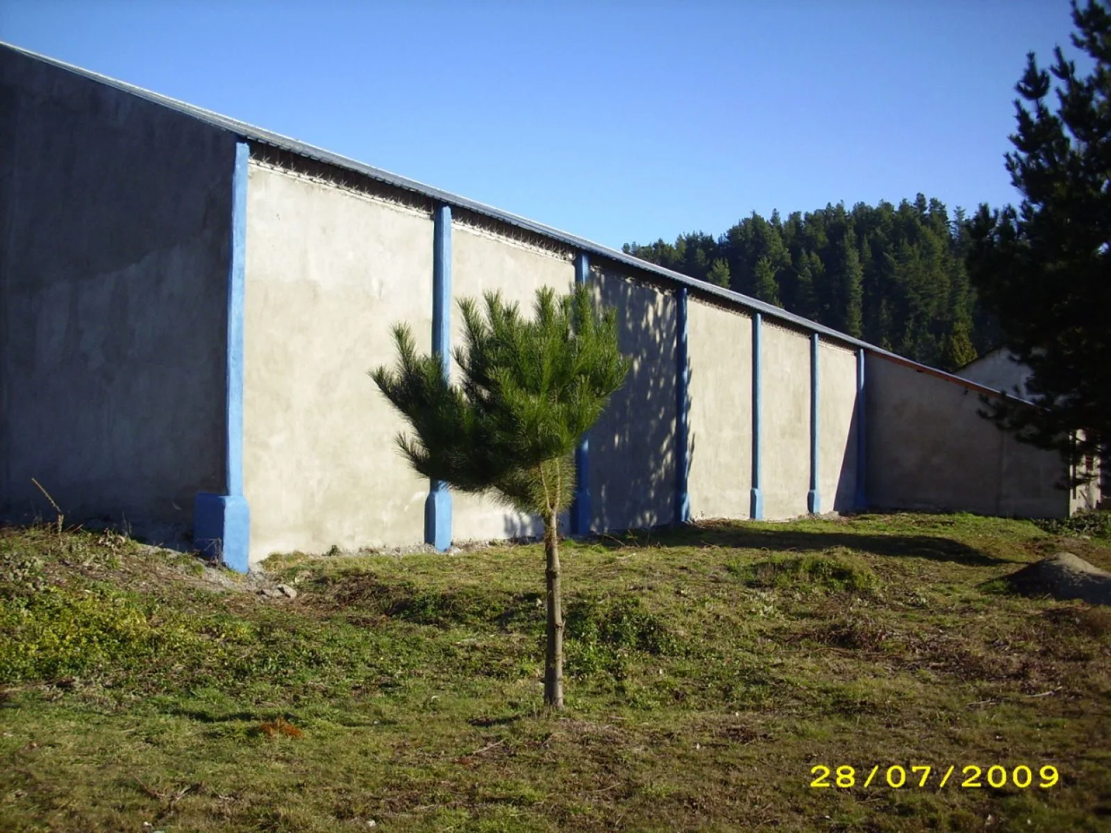 (009) LAGO PUELO (Parque Industrial Radal) Depósito sobre ruta de acceso foto 2