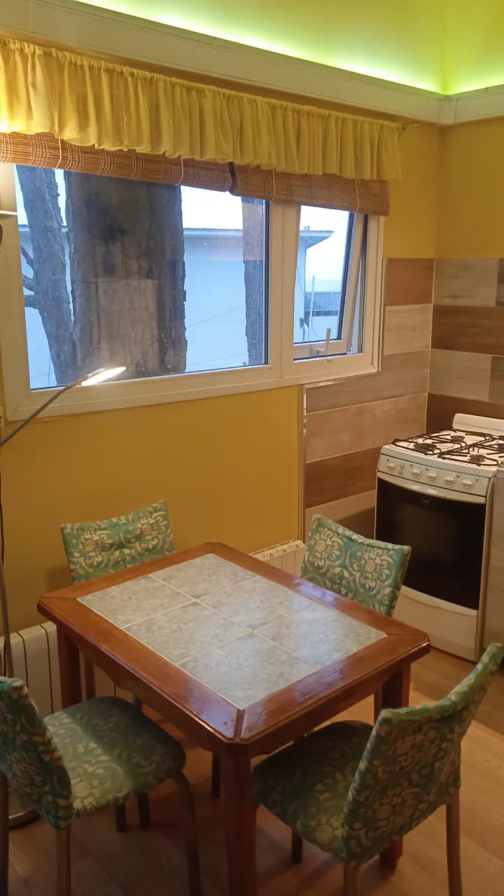 ALQUILER – DEPARTAMENTO – USHUAIA foto 5
