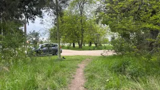 Trebol . foto 4