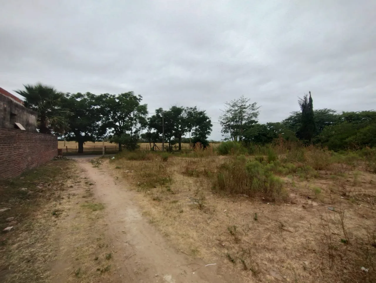 Terreno en San Pedro - Lote 12m x 85m