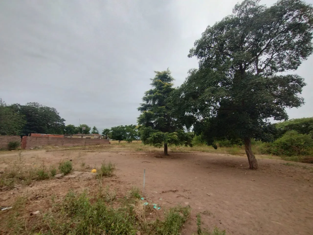Terreno en San Pedro - Lote 12m x 85m foto 2