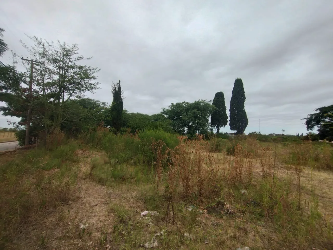 Terreno en San Pedro - Lote 12m x 85m foto 3