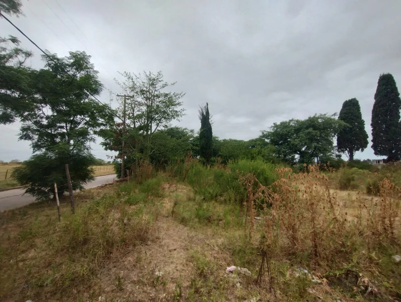 Terreno en San Pedro - Lote 12m x 85m foto 4