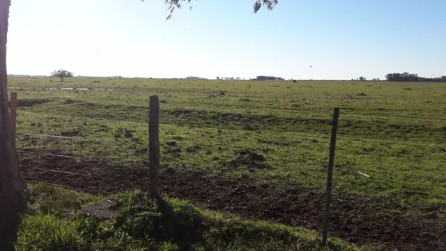 CAMPO en VENTA 570 hectáreas en PUNTA INDIO