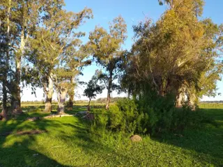 CAMPO en VENTA 570 hectáreas en PUNTA INDIO foto 2