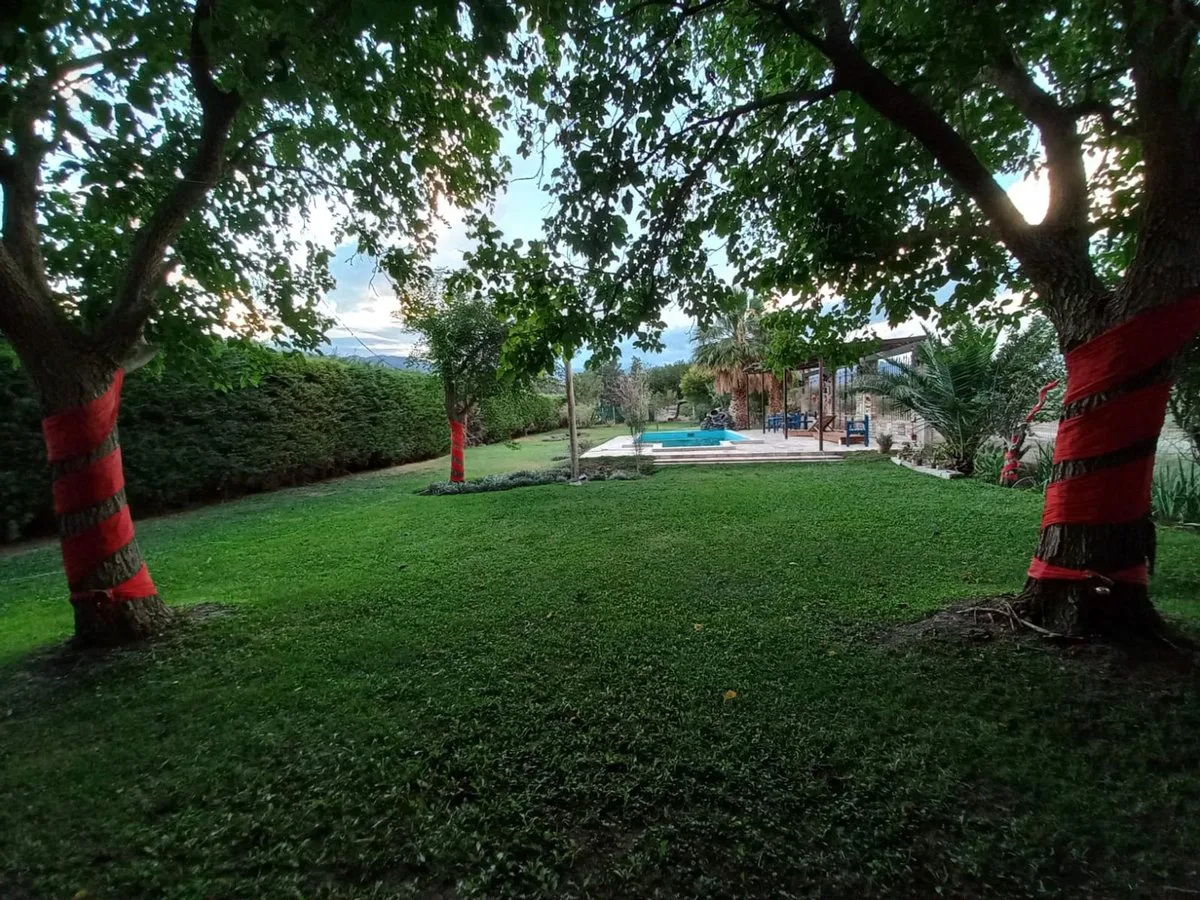 CASA QUINTA 3 HABITACIONES. POCITO foto 4
