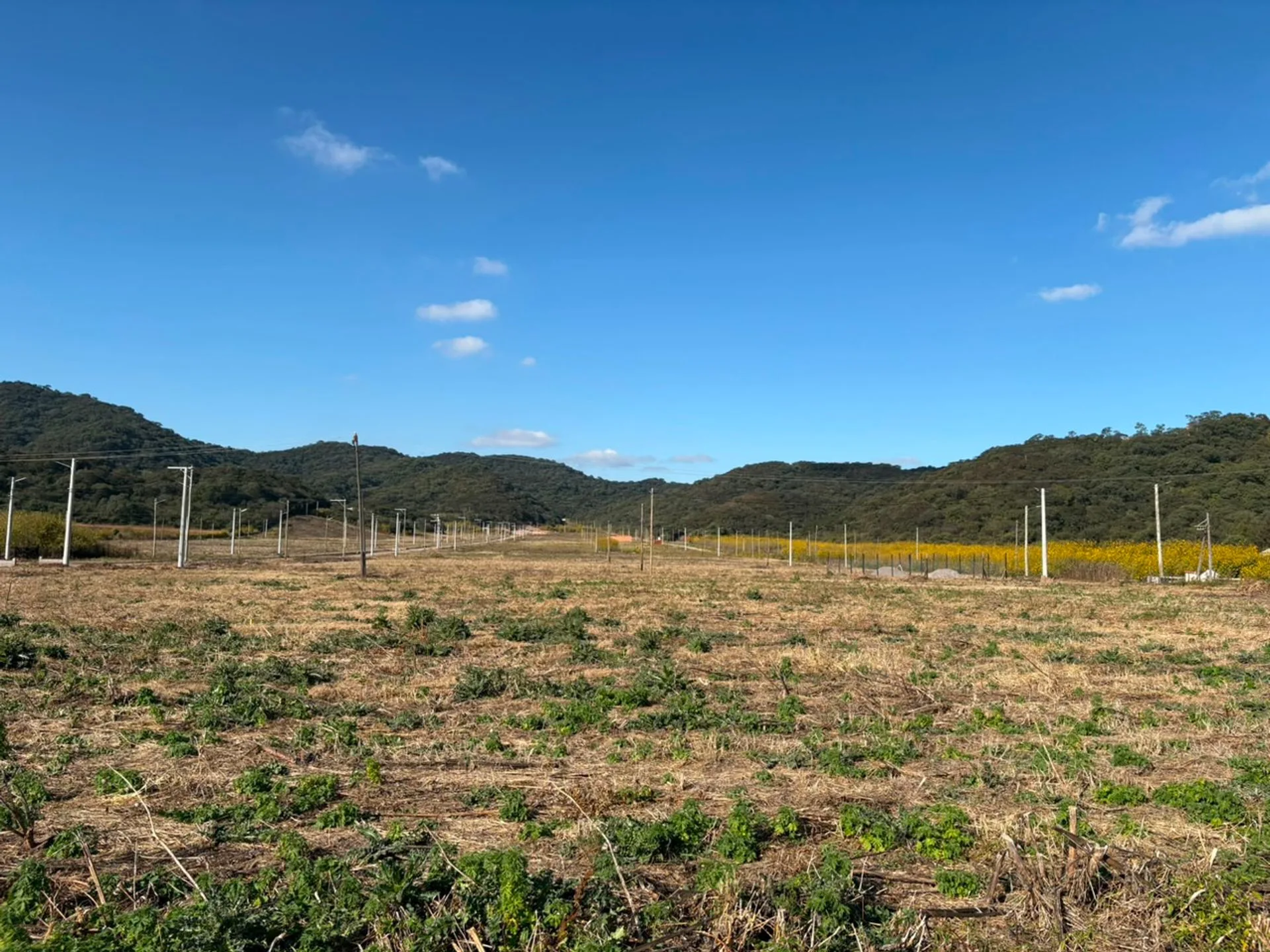 VENTA TERRENOS EN CERRILLOS - BOULEVARD BELLAVISTA foto 2