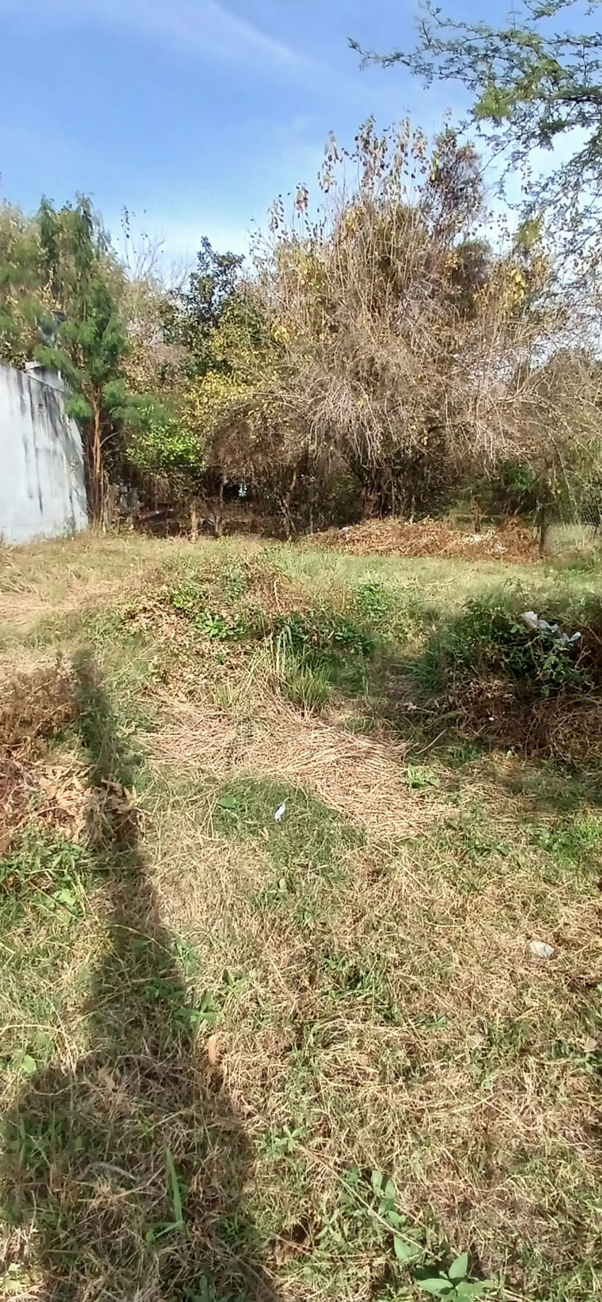 TERRENO DE 500M² EN VENTA EN GOYA CORRIENTES foto 3
