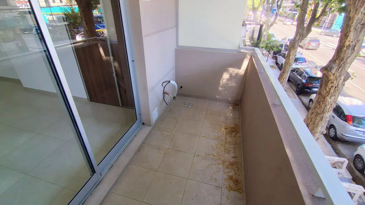 ALQUILER MONOAMBIENTE EN CABALLITO CON AMENITIES foto 3