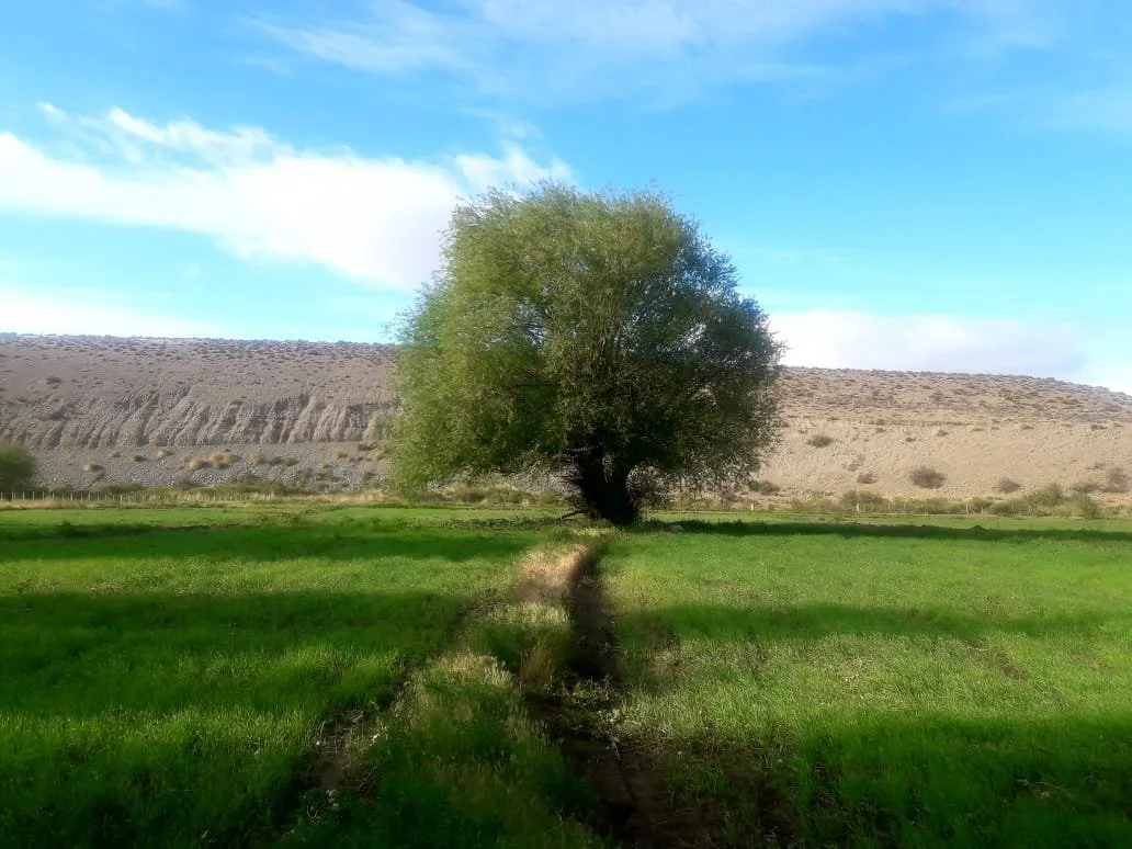 CHACRA CON POTENCIAL TURÍSTICO EN GUALJAINA, CHUBUT foto 2