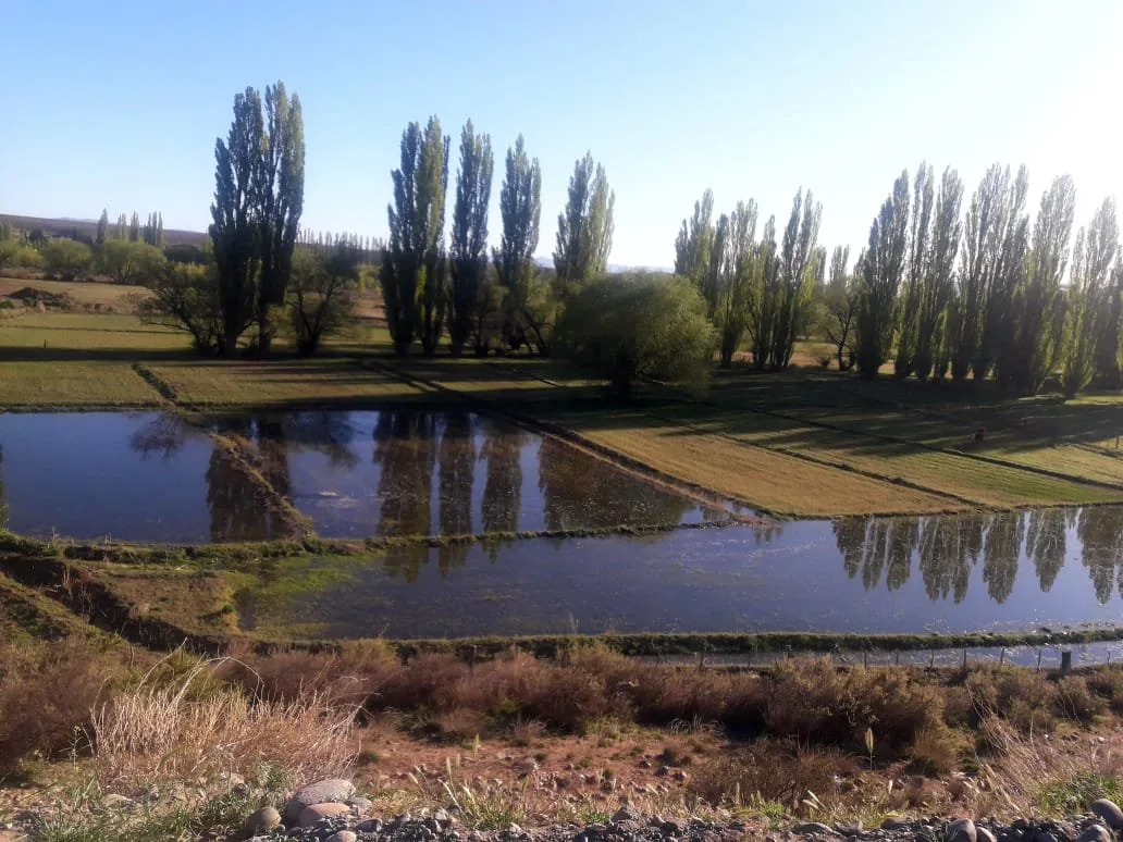 CHACRA CON POTENCIAL TURÍSTICO EN GUALJAINA, CHUBUT foto 4