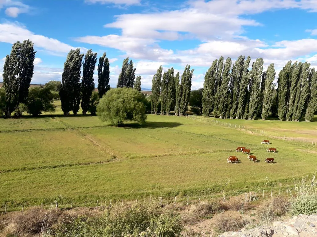 CHACRA CON POTENCIAL TURÍSTICO EN GUALJAINA, CHUBUT foto 5
