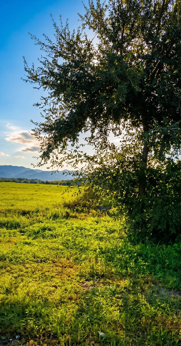 Venta Terrenos 2000 m2 Circunvalación Oeste foto 3