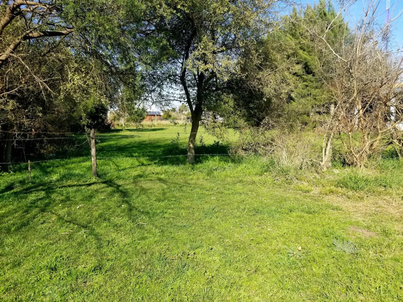Lote en Barrio Montemar - Calle Las Perdices foto 2