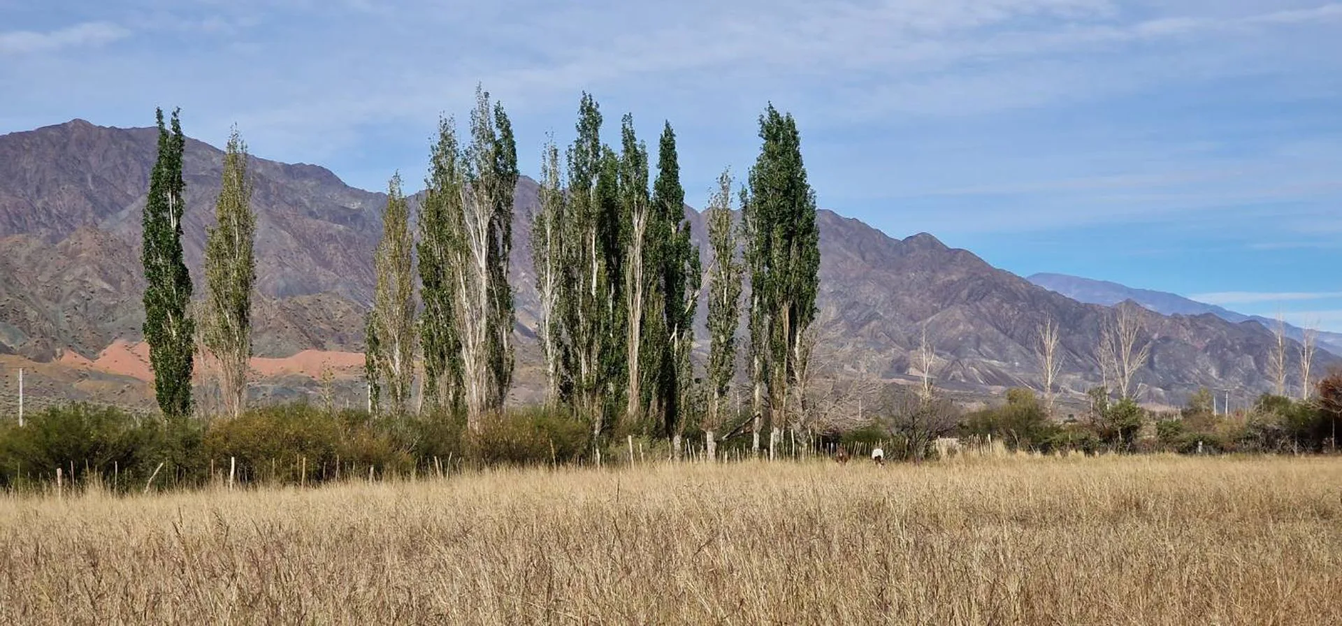 VENTA FINCA 12 HAS CON 2 CASAS PUCHUZUN CALINGASTA foto 4