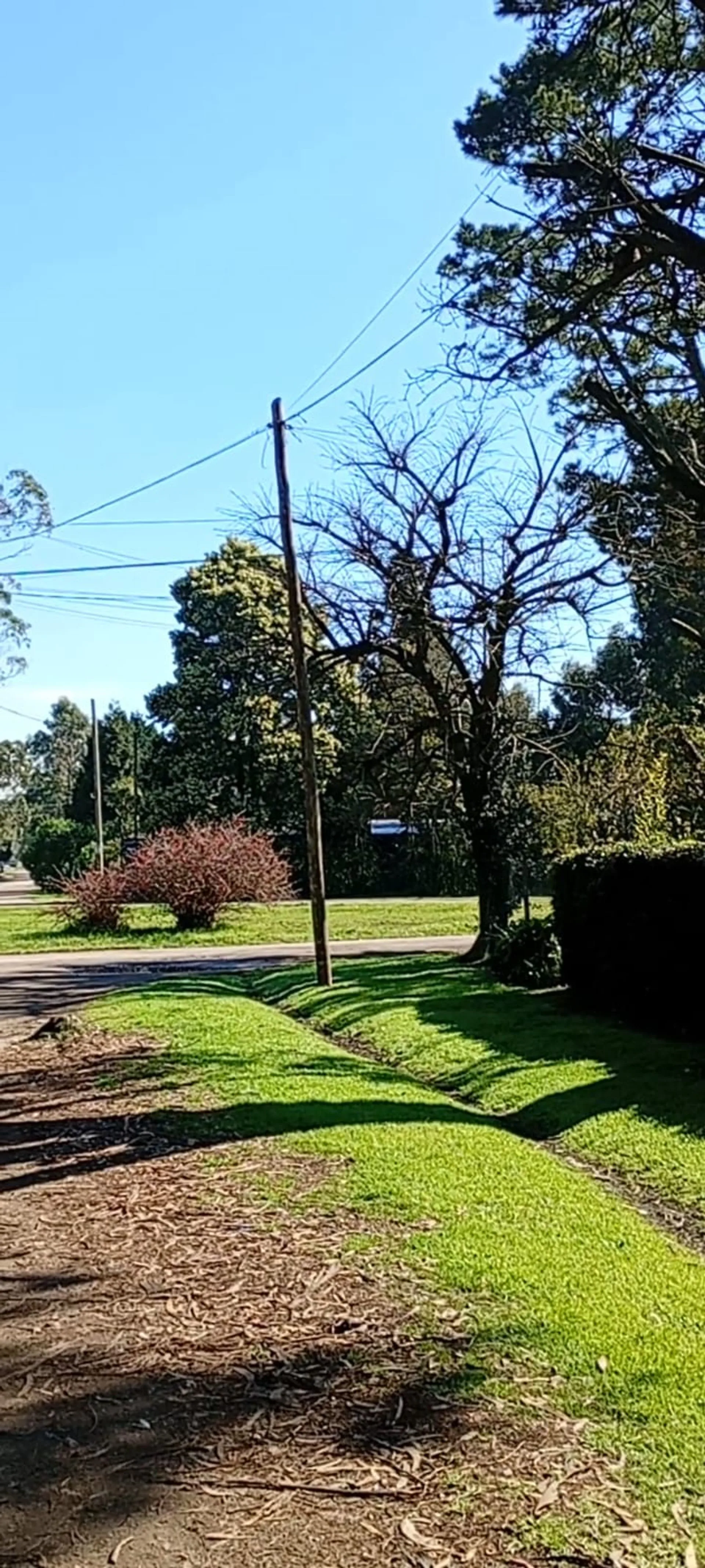VENTA - TU PROXIMO PROYECTO COMIENZA ACA foto 5