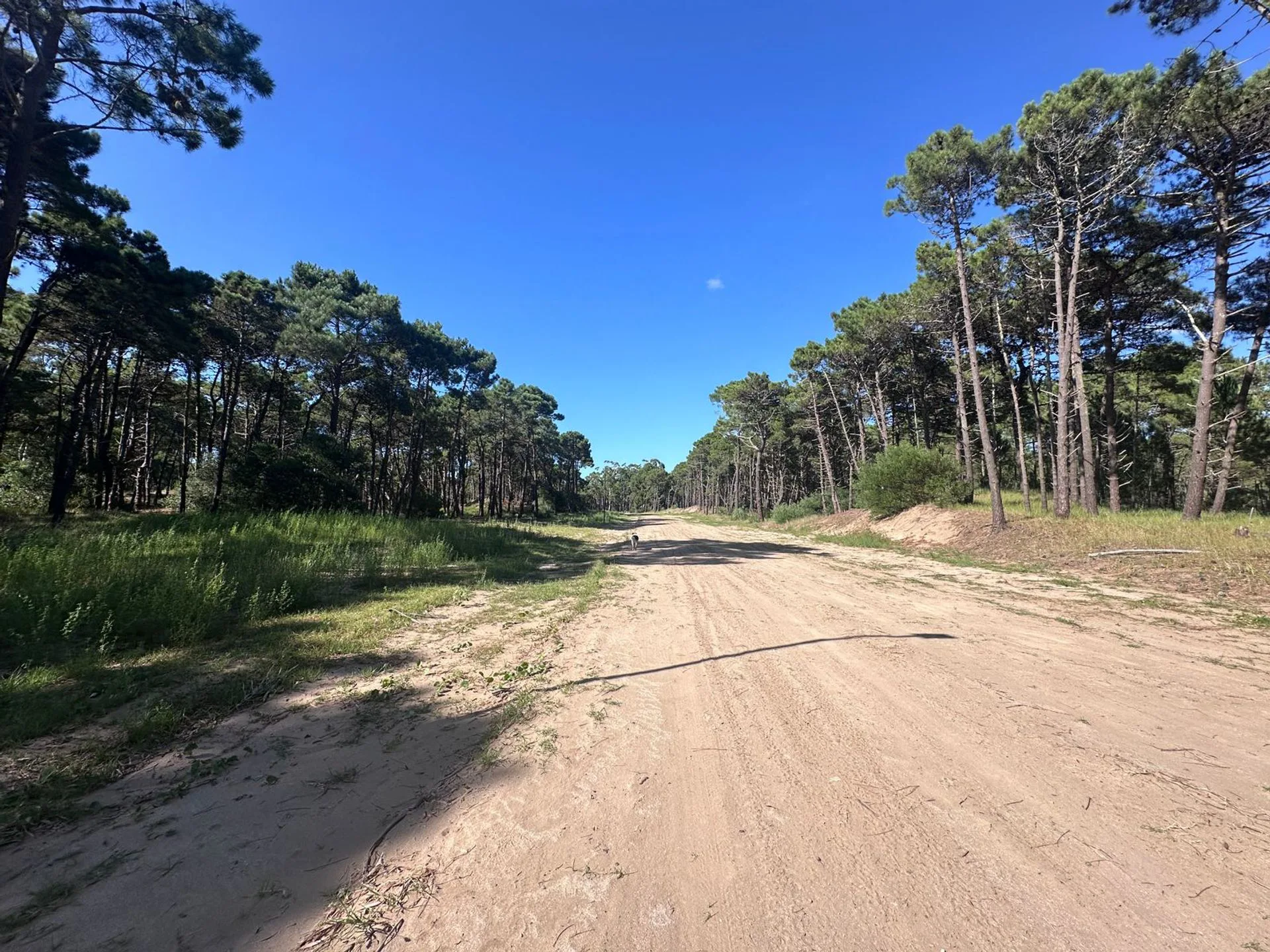 LOTE VENTA BARRIO BOSQUES PINAMAR foto 3