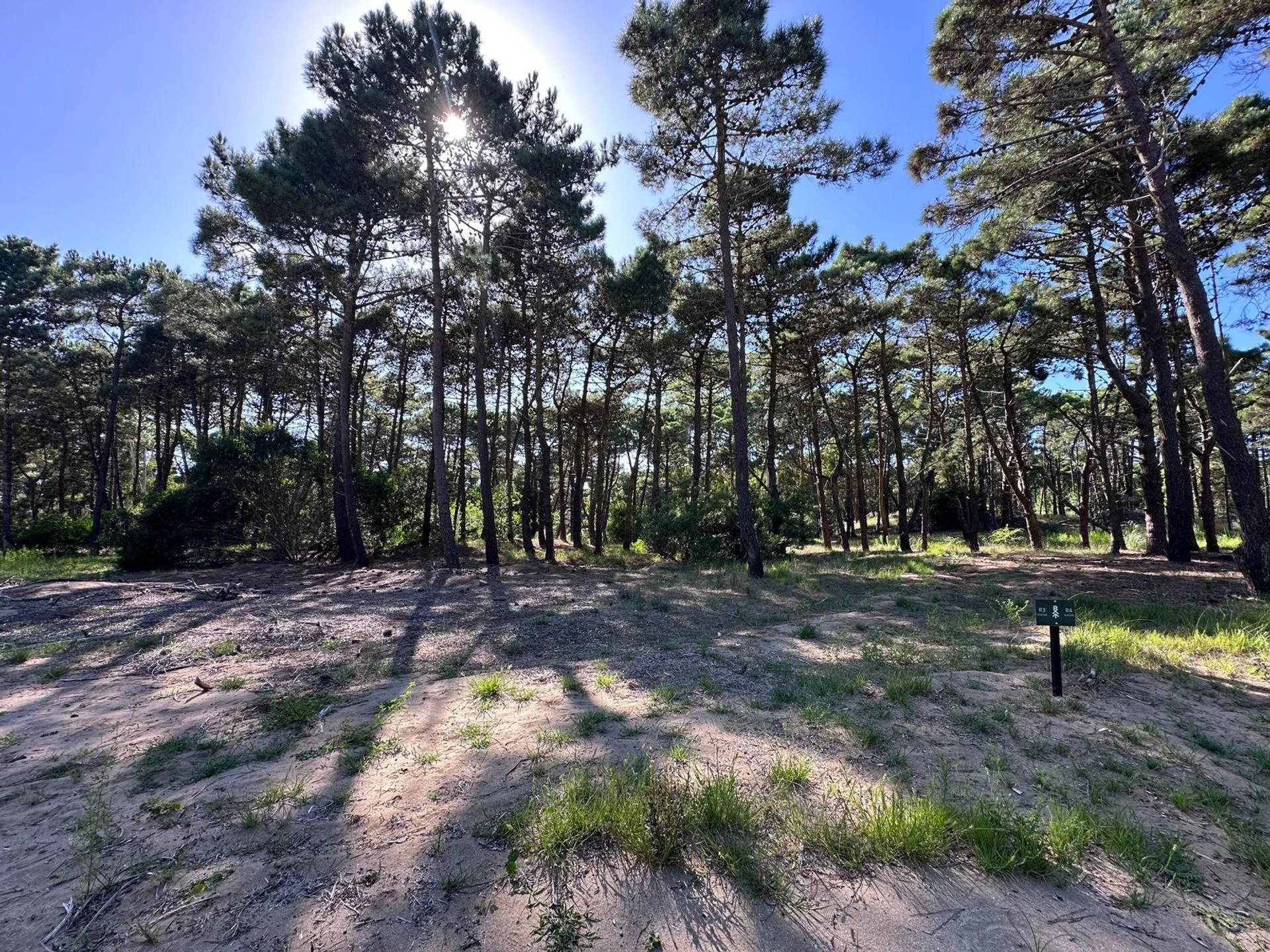 LOTE VENTA BARRIO BOSQUES PINAMAR foto 4