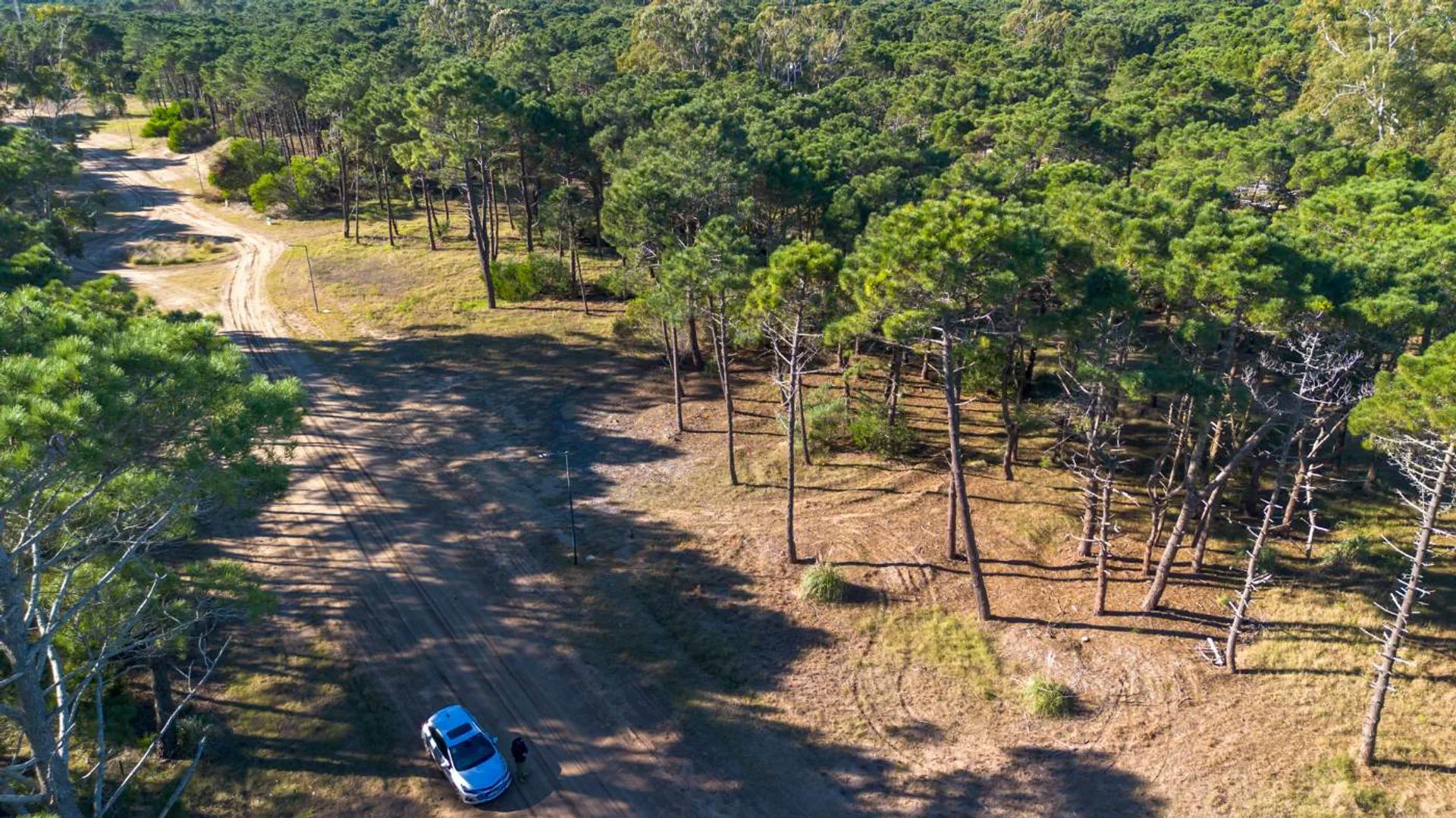 LOTE VENTA BARRIO BOSQUES PINAMAR foto 5