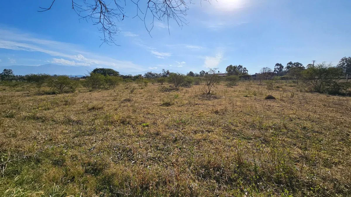 VENTA TERRENO 18263.3m² - RIO BLANCO foto 3