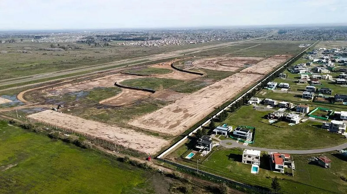 Damasia al Sur-Luis Farina - Lote: 335 foto 2