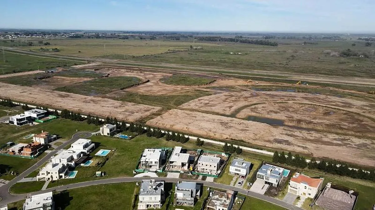 Damasia al Sur-Luis Farina - Lote: 335 foto 5