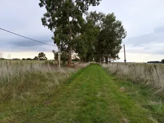 CAMPO en Venta 50 hectáreas en Punta Indio foto 1