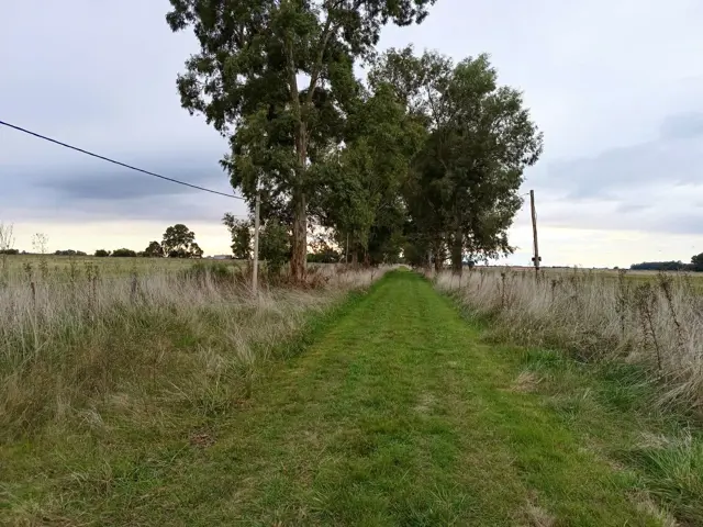 CAMPO en Venta 50 hectáreas en Punta Indio