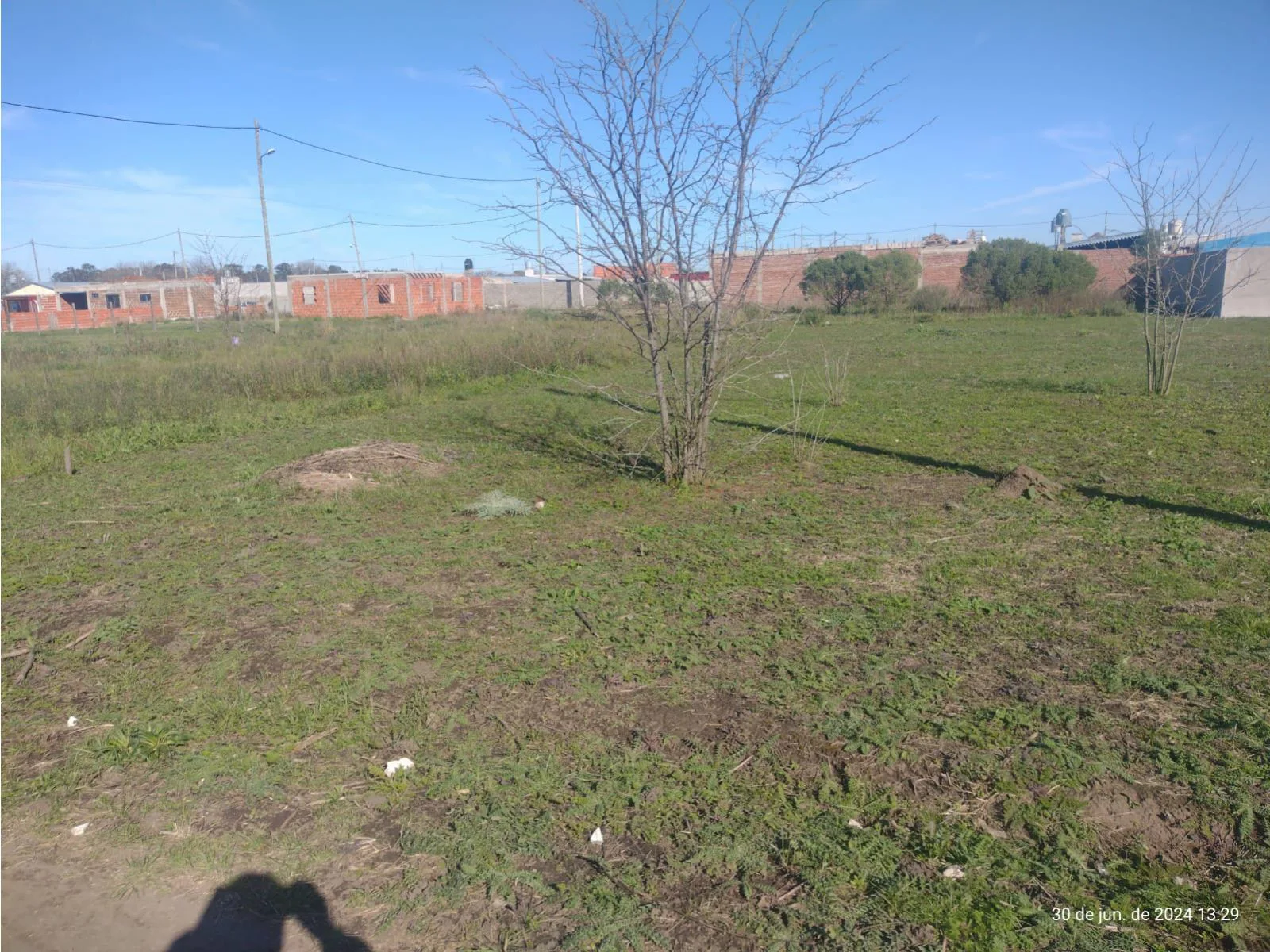 Lote/terreno foto 4