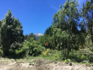 Lote en Tres Cerros Ruta 40 (Av. Siete Lagos)  1078,24 m2 foto 5