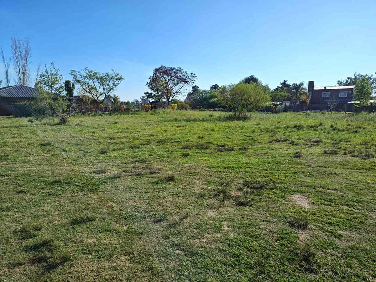 SE VENDE GRAN TERRENO EN RINCON foto 4