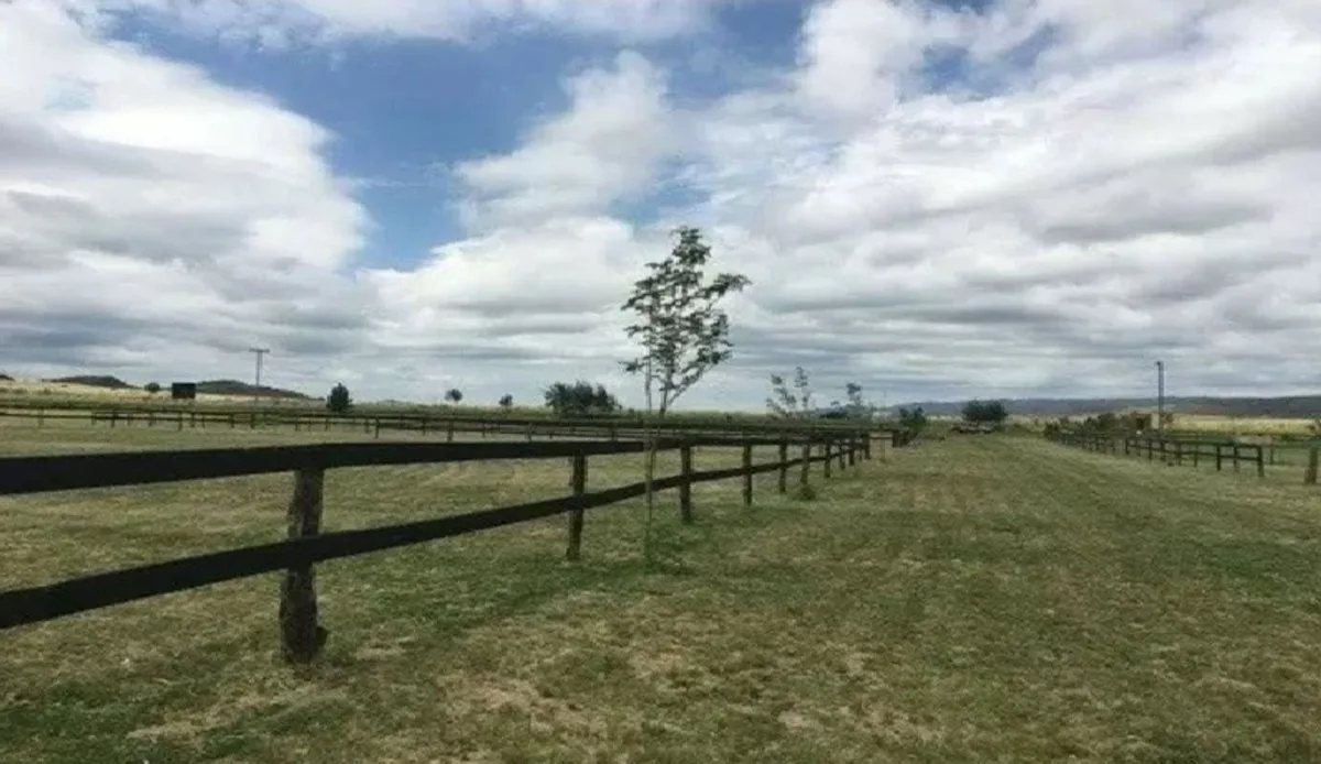 VENTA URGENTE TERRENO EN VALLE DE PANCANTA foto 3