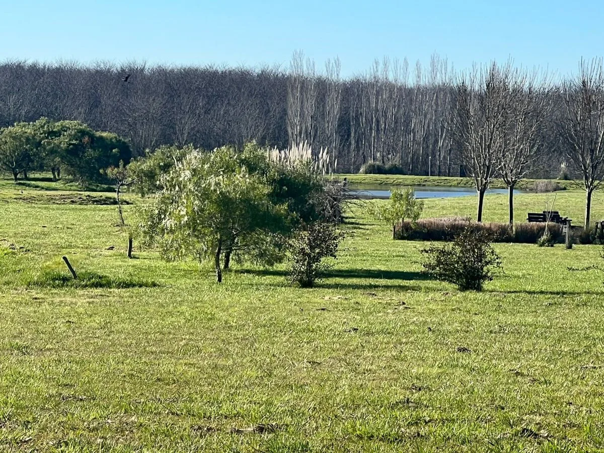 CASA EN POZO, CHACRAS DE LA CRUZ, CAPILLA foto 4