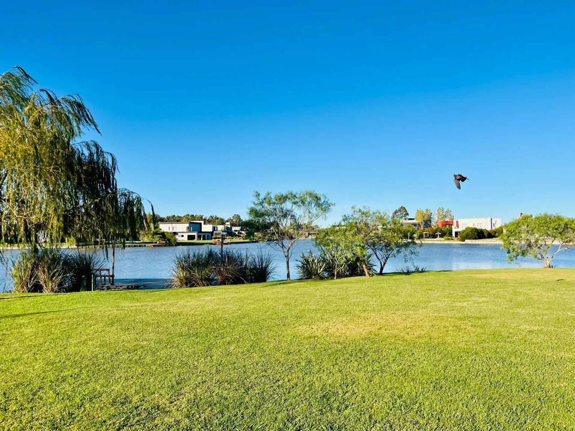 LOTE EN VENTA EN SANTO DOMINGO EN PRESIDENTE PERÓN foto 4