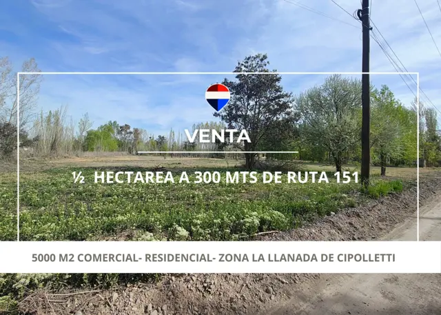 VENTA DE 1/2 HA A 300 MTS DE RUTA 151- CIPOLLETTI